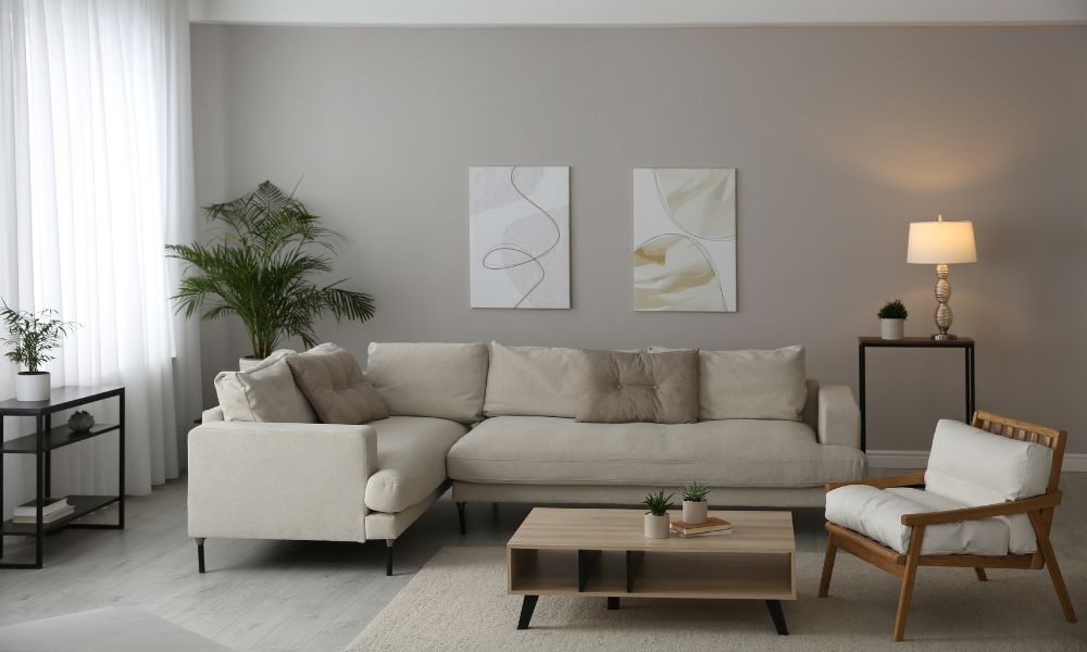 Benefits of a Sleeper Sofa or Futon for Overnight Guests